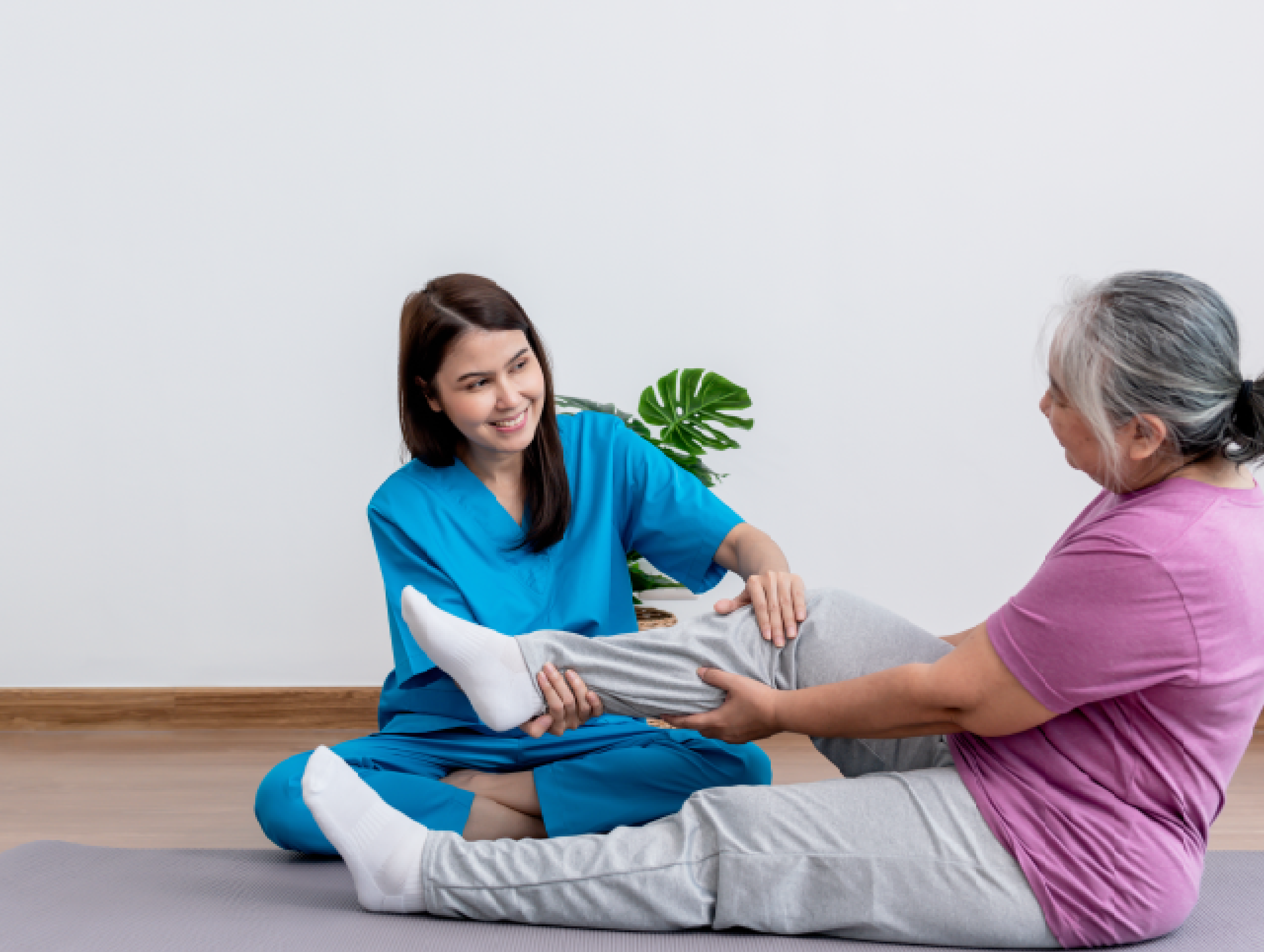 House Geriatric Physiotherapy & Luxury Old Age Home Services